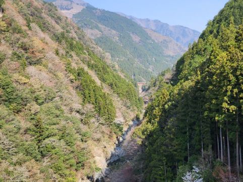 渓谷の隠れ宿　祖谷美人 クーポン