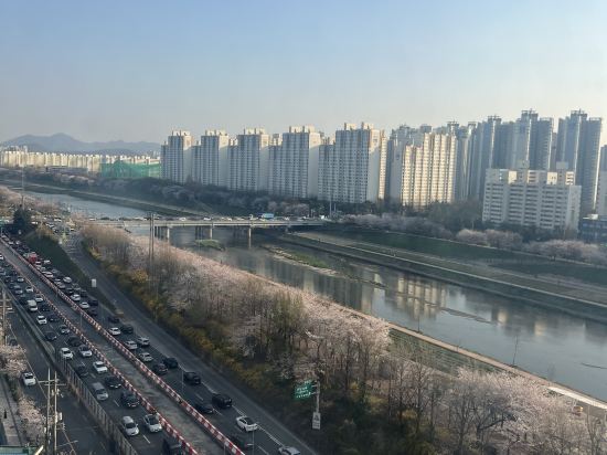 골드리버호텔 쿠폰