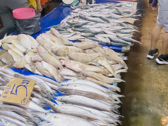 市中心 SSVC 熱點酒店優惠