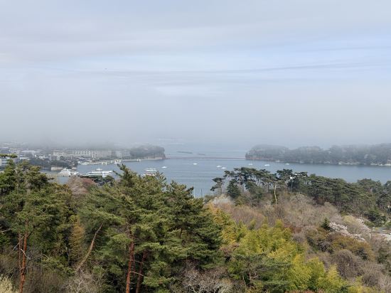 ホテル松島大観荘 クーポン