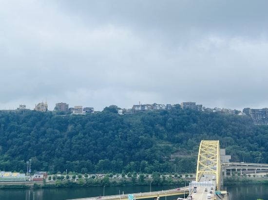 匹茲堡温德姆大酒店優惠