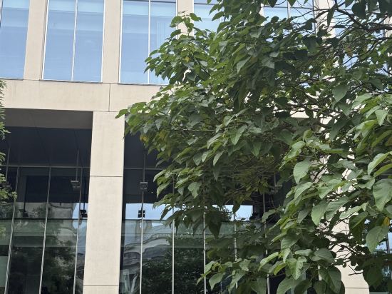 朱麗斯曼徹斯特酒店優惠