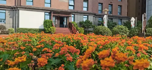 成都賽侖吉地大飯店（雙流機場店） 飯店周邊 Photos