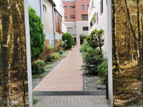 白井屋ホテル クーポン