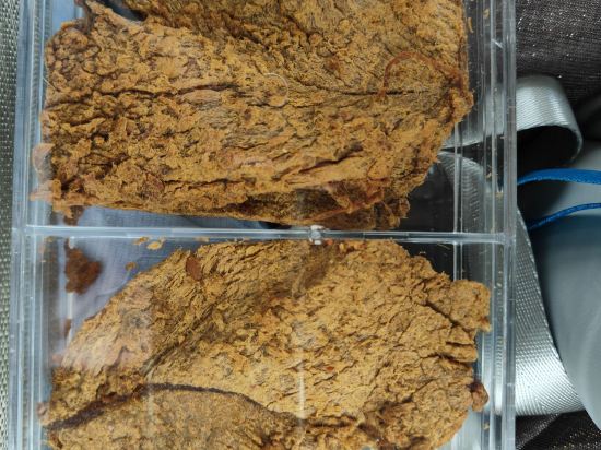 國尚假日飯店（天府國際機場店）優惠