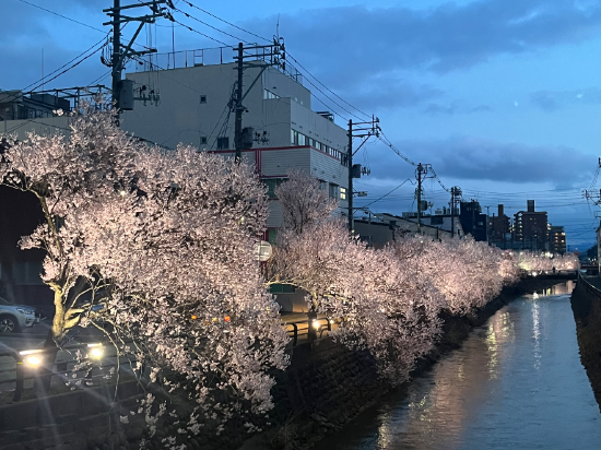 アートホテル上越 クーポン