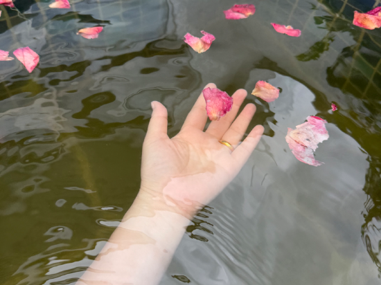 新興翔順龍山酒店優惠