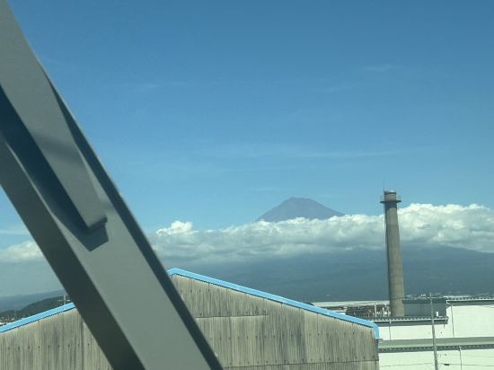 多米飯店-三島天然溫泉優惠