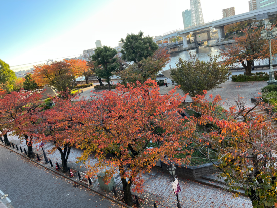 多美迎 global cabin淺草優惠