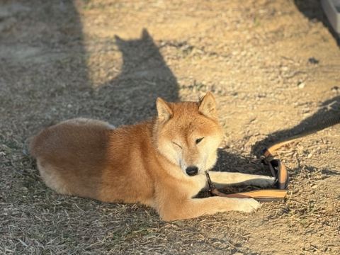清遠熹樂谷温泉度假酒店優惠