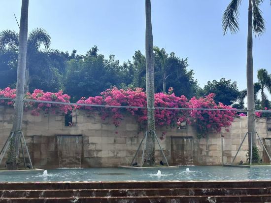 珠海海灣大酒店優惠