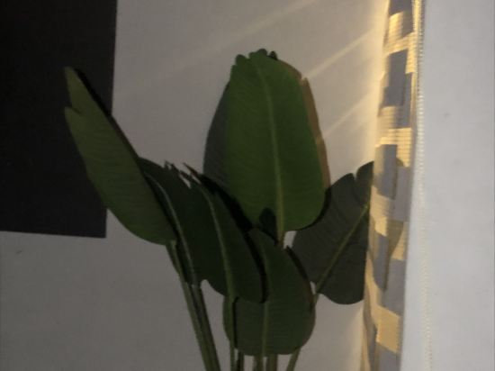 香蕉宿設計酒店（龍華民治店）優惠