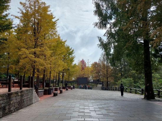 蘭亭·雅居飯店（張家界國家森林公園標誌門店）優惠