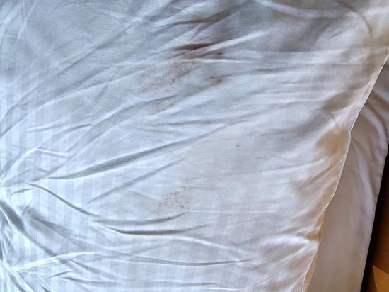 호텔 일루아 쿠폰