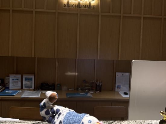 素坤逸SHAN別墅優惠