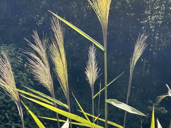 新興榮熙假日酒店優惠