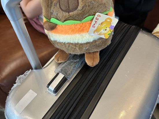 深圳温德姆至尊酒店優惠