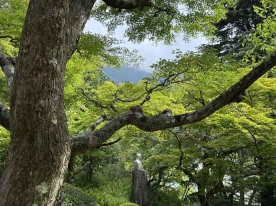 富士屋飯店優惠