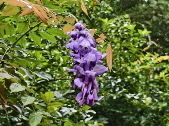 清遠居篁精舍（古龍峽店）優惠