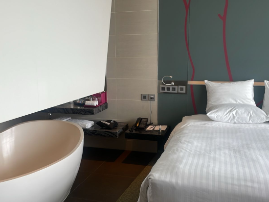 西貢中心鉑爾曼酒店優惠