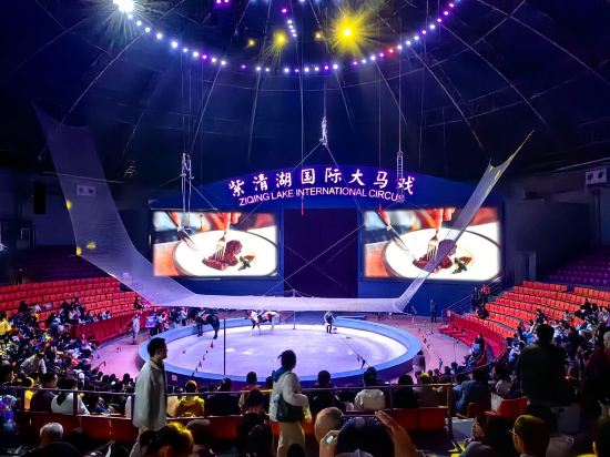 南京紫清湖温泉度假酒店優惠