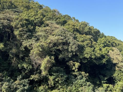 龍門南崑山雲頂温泉度假村優惠