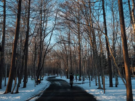 ホテル ニドム クーポン
