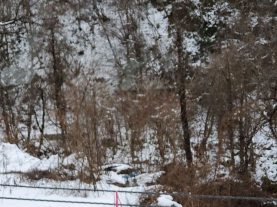 隠庵ひだ路 - アダルト オンリー クーポン