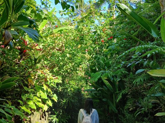 薩克蒂花園度假村及水療中心優惠
