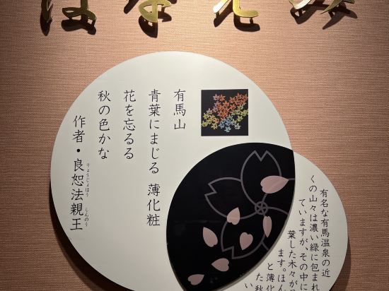 阿里瑪吉拉里飯店優惠