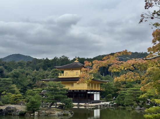 京都丸太町曼迪設計飯店優惠