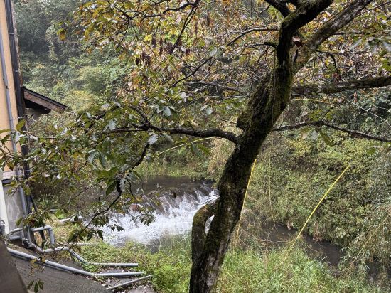 [瀨之本 黑川溫泉]夢龍膽 別館花泊優惠