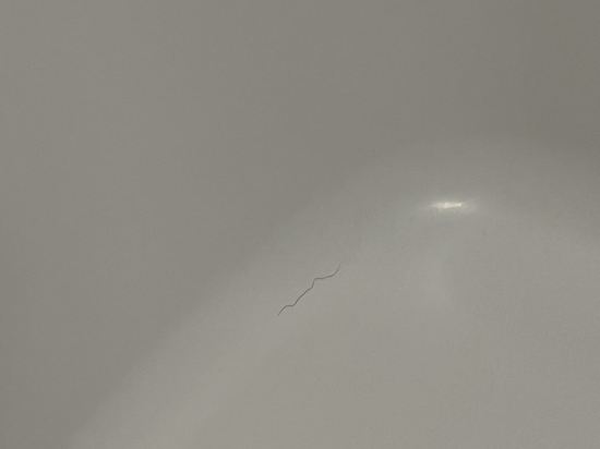 ホテル・ラ・ジェント・プラザ函館北斗 クーポン