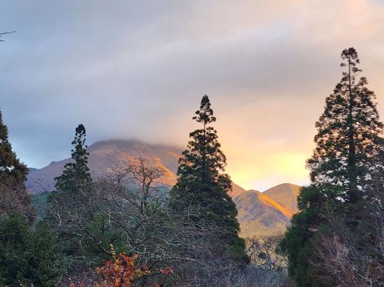 由布院梅園飯店優惠