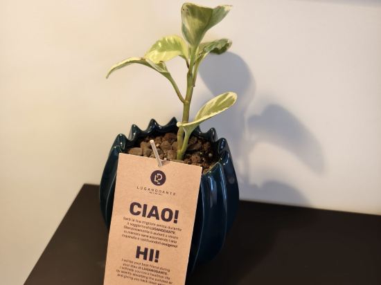 盧加諾但丁瑞士品質酒店優惠