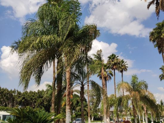 諾富特開羅機場酒店優惠