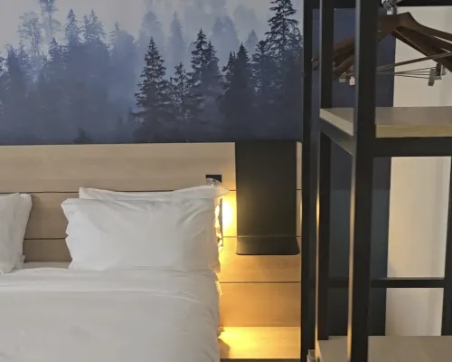 Novotel Annemasse Centre - Porte de Genève Quartos Photos