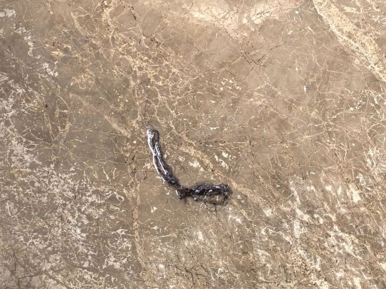 台山頤和温泉城大酒店優惠