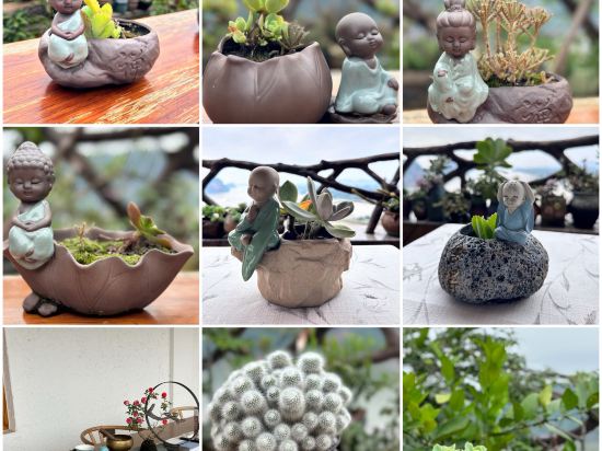 江山勝景民宿酒店（樂山大佛店）優惠