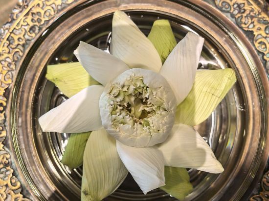 曼谷愛侶灣君悅飯店優惠