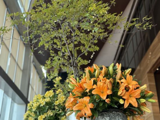 深圳君悦酒店優惠