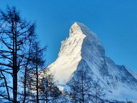 策馬特青年旅舍優惠