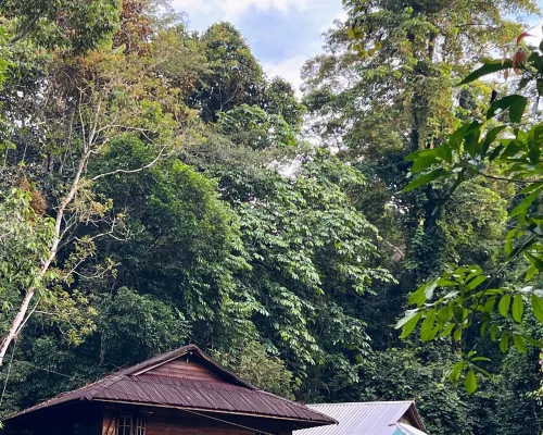 Borneo Tropical Rainforest Resort Berhampiran Hotel Photos