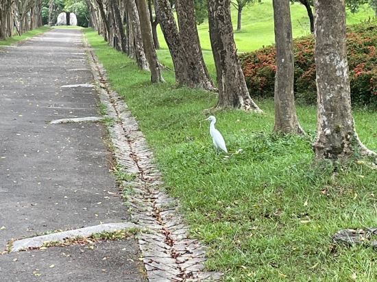 宜蘭三月三旅店優惠
