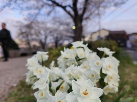 大和Roynet酒店岐阜優惠