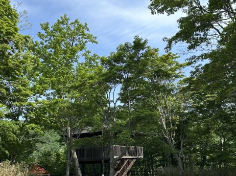 休暇村 支笏湖 クーポン