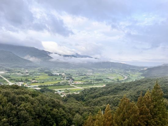 켄싱턴리조트 충주 쿠폰