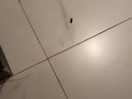 호텔 인피니 쿠폰