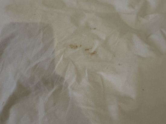 台北宿之酒店 · 臻品之選優惠