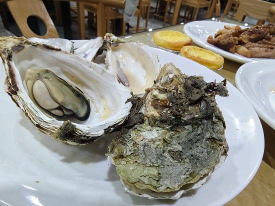 中山泉眼温泉度假酒店優惠